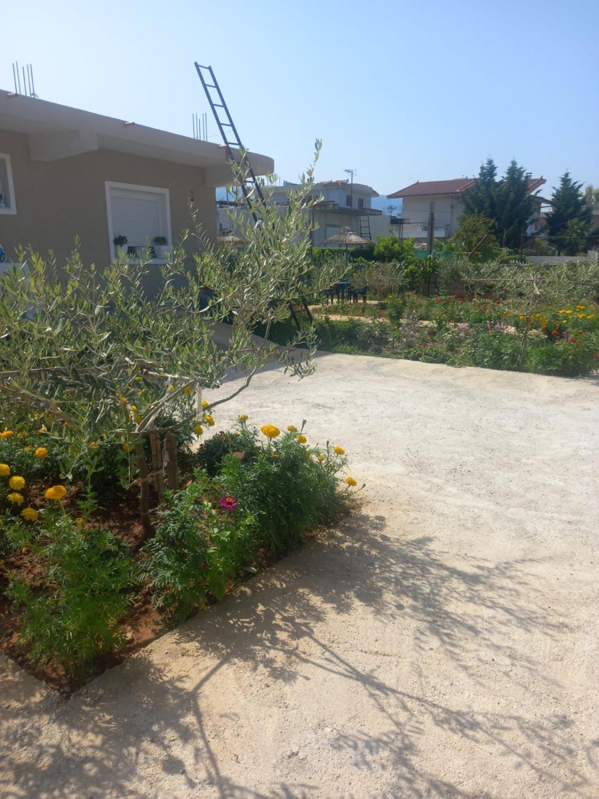Rey Garden 2 Hotel Vlorë Exterior foto